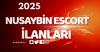 Nusaybin'de Escort Bayanlar: Seks Düşkünlüğü Üzerine Bir İnceleme